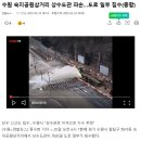 숙지공원 삼거리1 이미지