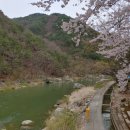 건계정식당 이미지