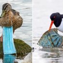 종영농장 이미지