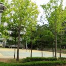 호반숲속작은도서관 이미지