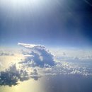 회진상회 이미지