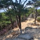 [블랙야크 100대 명산] 충남 홍성군 용봉산 최단 코스 등산 후기