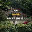 소백한의원 네이버블로그