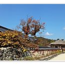 선비촌 이미지