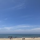 이호당구장 이미지