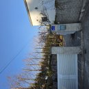 남해 인도마리 펜션 이미지