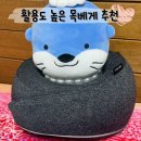 미미세탁 | 목 디스크 초기 관리 템 리스트 공개 여행용 목베개 추천 ㅣ 리빙미미 360도 목베개