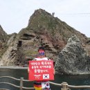 박용식 카카오 검색결과