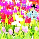 꽃씨 이미지