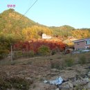 영천약수 Daum카페