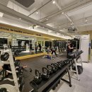 킴브로짐 헬스PT 이미지