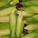 서연세탁소 이미지