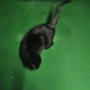 영풍제일의원 | 블챌13주차