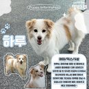 멍타쿠 이미지