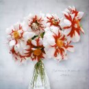 박하사탕이 생각나는 파이어앤아이스 이미지