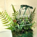 담비한의원 이미지