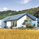 까페의영주
