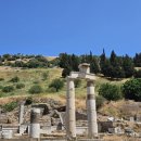 (주)네이온 이미지