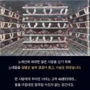 이런 사실들을 보면 인간의 사후세계는 있다. 인간의 원寃과 한恨 이미지