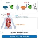 원스톱