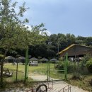 멍멍이매점 | 캠핑기록 #2 [충북/괴산] 개차반캠핑장 애견전용 사이트5 후기