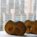 재열농장 이미지