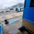 골드수산