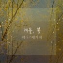 메리네 카페