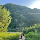 헤리티스 이미지