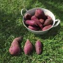 개울농장 이미지