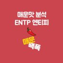 엔티피 이미지