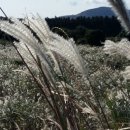 번영로길 이미지