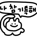 올라이스 이미지