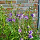 스테이 서종 이미지