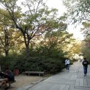 농업회사법인 다음산업주식회사 | 농업회사법인 설립 및 운영 주요 쟁점