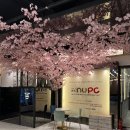 앤유(nu) PC방 이미지
