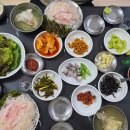 부산횟집 | 부산여행 중 방문한 부산명물횟집 회백밥 후기