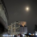 바다드림 | 영종도 네스트호텔주변 조개구이집 추천 내돈내산 [바다드림] 솔직후기