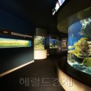 씨월드수족관