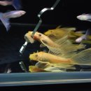 조은사료 이미지