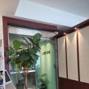스텔라뷰티 네이버블로그