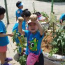 중동사랑어린이집 이미지