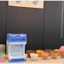 힘찬아이태권도장 이미지