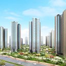 노블벨리 이미지