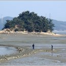 바다풍경 이미지