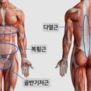 올데이코어 이미지