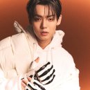 도그 에이스 이미지