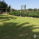 이어도성 이미지