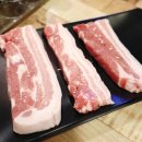 고고돼지 이미지