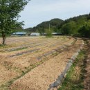 김창기머쉬룸팜 이미지